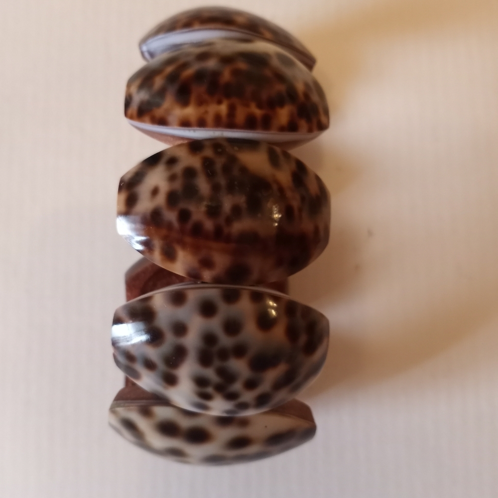Tiger Cowrie Shell stretch bracelet